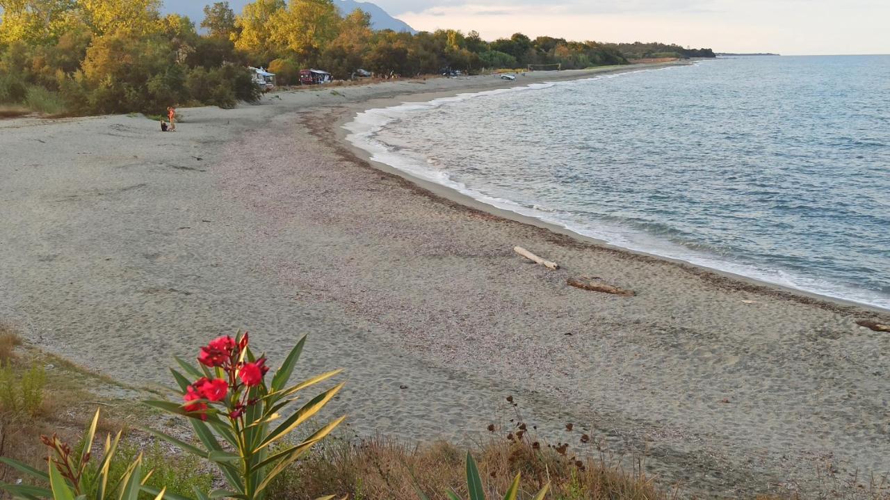 Les Jardins De La Mer Marine De Bravone - 2 Chambres A Lit Plus Sofa Avec Piscine A Cote Mer Linguizzetta Exteriör bild
