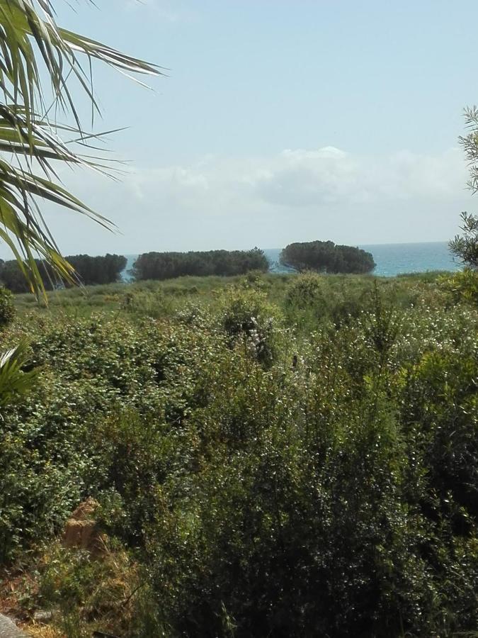 Les Jardins De La Mer Marine De Bravone - 2 Chambres A Lit Plus Sofa Avec Piscine A Cote Mer Linguizzetta Exteriör bild