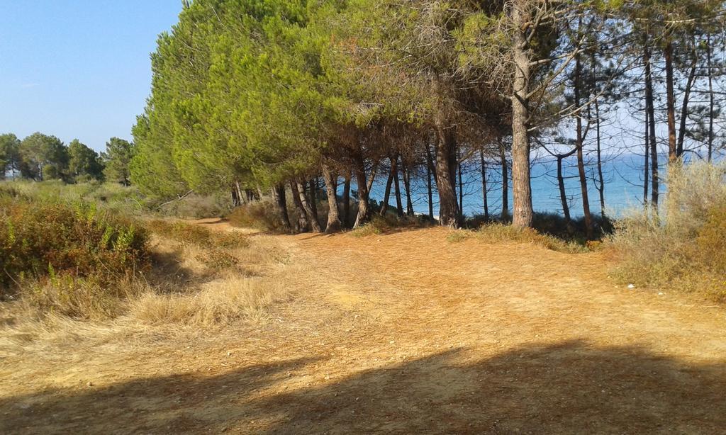 Les Jardins De La Mer Marine De Bravone - 2 Chambres A Lit Plus Sofa Avec Piscine A Cote Mer Linguizzetta Exteriör bild