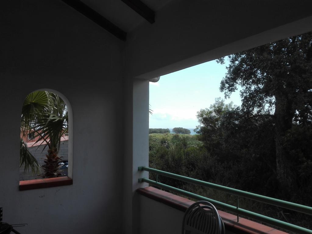 Les Jardins De La Mer Marine De Bravone - 2 Chambres A Lit Plus Sofa Avec Piscine A Cote Mer Linguizzetta Exteriör bild